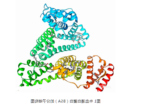 牛血清白蛋白 BSA