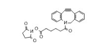 DBCO-NHS酯2 DBCO-NHS酯2