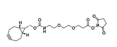 endo-BCN-PEG2-NHS ester