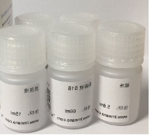 磁珠法血液基因组DNA提取试剂盒
