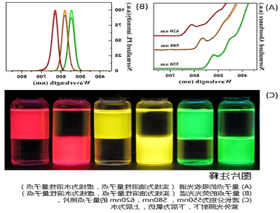 水溶性CdSe/ZnS量子点