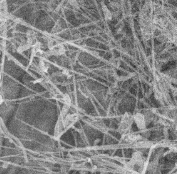 Boron nitride nanowire