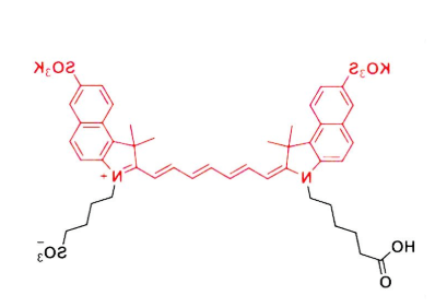 DBCO-trisulfo-ICG