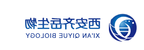 葡聚糖-亮氨酸