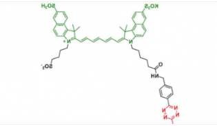 Methyltrazine-Disulfo-ICG Methyltrazine-Disulfo-ICG