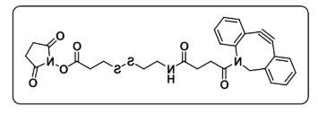 DBCO-CONH-S-S-NHS ester