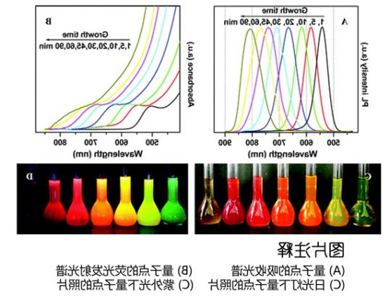 水溶性CdTe/CdS量子点