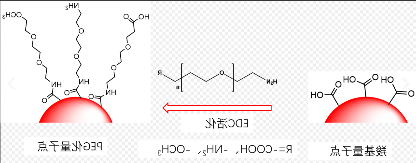 NH2-PEG修饰CdSe/ZnS量子点