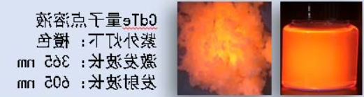 CdTe量子点溶液