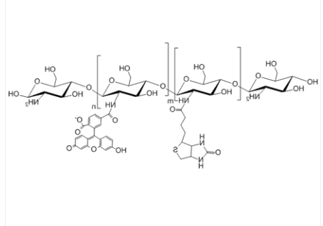 Biotin-Chitosan-FITC