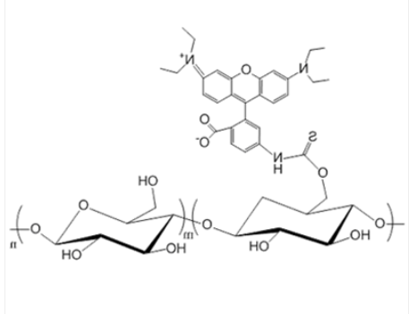 Dextran-Rhodamine Dextran-Rhodamine