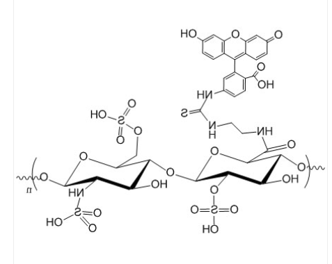 Heparin-FITC