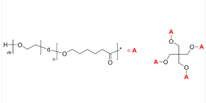 4-Arm PCL-PEO/PCL-PEG 4-Arm PCL-PEO/PCL-PEG