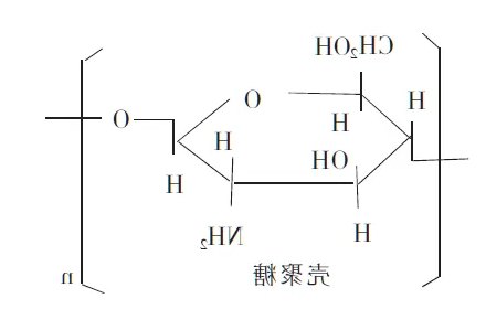 壳聚糖-N-羟基琥珀酰亚胺 壳聚糖-N-羟基琥珀酰亚胺