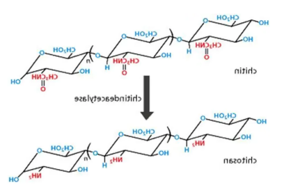 叠氮壳聚糖