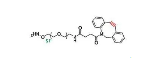 DBCO-PEG12-O-NH2