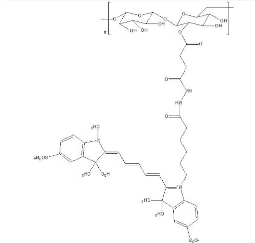 葡聚糖-CY5 葡聚糖-CY5