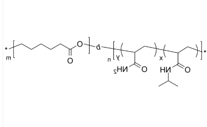 PNIPAMAMDran-PCL
