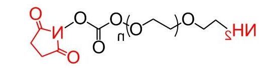 NH2-PEG-NHS