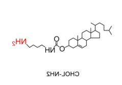 CLS-NH2 