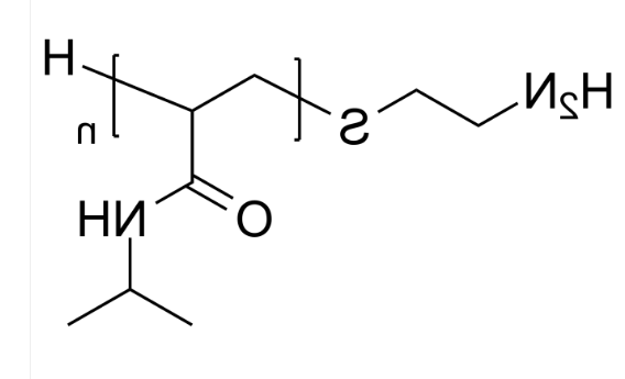 PNIPAM-NH2