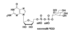 鸟苷5'-二磷酸-D-甘露糖钠盐 GDP-D-mannose disodium salt