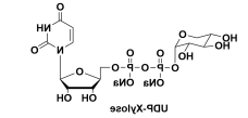 UDP-木糖，UDP-Xylose Uridine diphospho-a-D-xylopyranose UDP-a-D-Xylose disodium