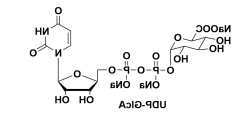 尿苷-5'-二磷酸-α-D-半乳糖二钠盐 Uridine-5'-diphospho-α-D-galactose disodium salt 尿苷-5'-二磷酸-α-D-半乳糖二钠盐 Uridine-5'-diphospho-α-D-galactose disodium salt
