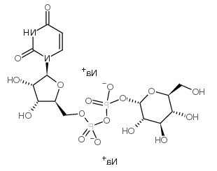 UDP-葡萄糖,二磷酸尿苷葡糖,UDP-GLC, 2NA,UDP-GLC, DISODIUM SALT UDP-葡萄糖,二磷酸尿苷葡糖,UDP-GLC, 2NA,UDP-GLC, DISODIUM SALT