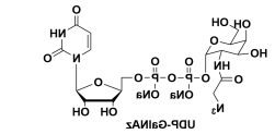 CAS#: 653600-61-4，Uridine 5’-diphospho-N-acetylazidogalactosamine disodium salt