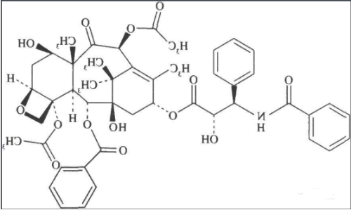 香菇多糖-聚乙二醇-紫杉醇 香菇多糖-聚乙二醇-紫杉醇