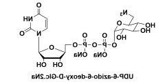 UDP-6-叠氮-6-脱氧-D-葡萄糖二钠盐，UDP-6-azido-6-deoxy-D-Glc.2Na/glucose