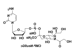 CMP-N-glycolylneuraminic acid，腺苷-5'-单磷酸-N-羟乙酰神经氨酸二钠盐 