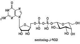 核苷酸标记半乳糖,尿苷二磷酸修饰半乳糖,GDP-L-半乳糖,GDP-L-galactose,CAS:16689-00-2 核苷酸标记半乳糖,尿苷二磷酸修饰半乳糖,GDP-L-半乳糖,GDP-L-galactose,CAS:16689-00-2