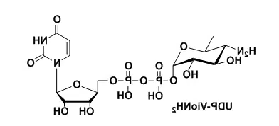 UDP-VioNH2，氨基功能化修饰尿苷二磷酸