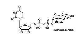 UDP-D-QuiNAc，UDP-N-acetyl-d-quinovosamine，UDP-N-乙酰基-d-喹喔啉
