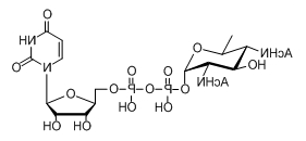 UDP-糖，UDP-D-XylNAc，UDP-4n-D-FucNAc，UDP-diBAcNAc
