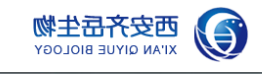 葡聚糖修饰Hrps共价三聚肽  