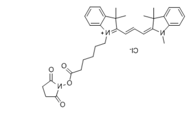 脂溶性Cyanine3 NHS 