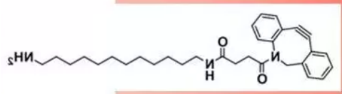 DBCO-C6-Amine