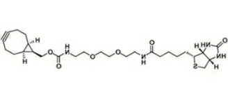 endo-BCN-PEG2-Biotin  