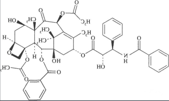 多巴胺修饰紫杉醇 多巴胺修饰紫杉醇