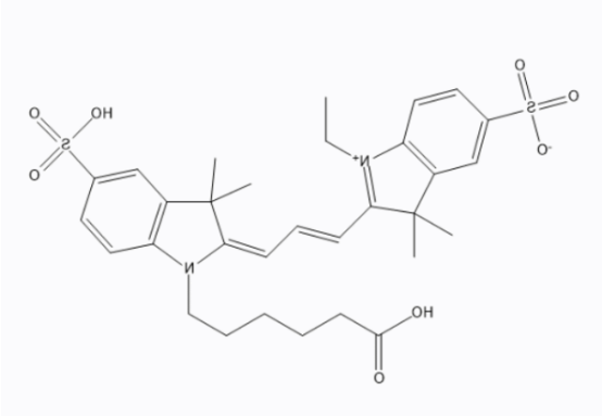 荧光染料CY3标记紫杉醇