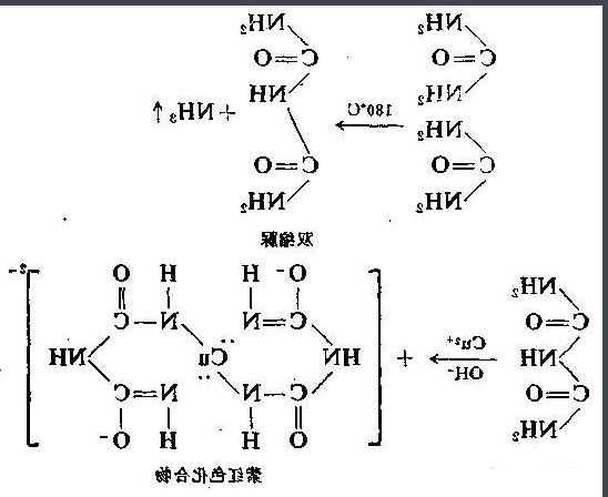 Ovalbumin-PEG-PTX