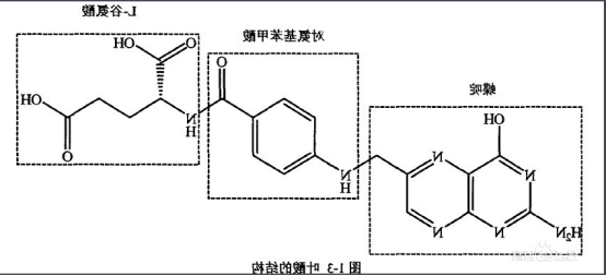 MTX-FA 甲氨蝶呤-叶酸 MTX-FA 甲氨蝶呤-叶酸