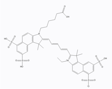 近红外染料CY5.5标记阿霉素