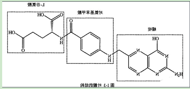 顺铂-叶酸