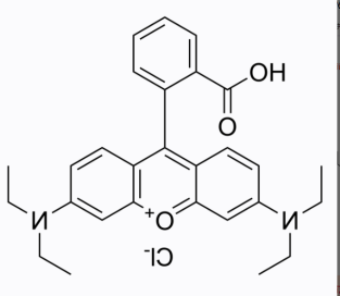 罗丹明B-PEG-顺铂 罗丹明B-PEG-顺铂