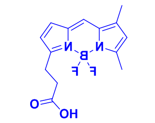 Bodipy503/509染料  cas165599-63-3 3-肾上腺素丙酸的激发与发射波长