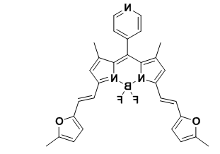 Bodipy-670/700  氟硼二吡咯(BODIPY)类荧光染料 BDP-670/700
